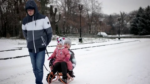 Elder Brother Pulled His Younger Sisters on a Sled Stock Footage 71795278