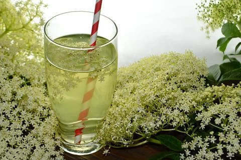 Elder flower juice Stock Photos