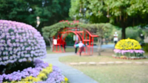 Elder people doing exercise in a park in the morning at blurred focus Stock Footage 122145575
