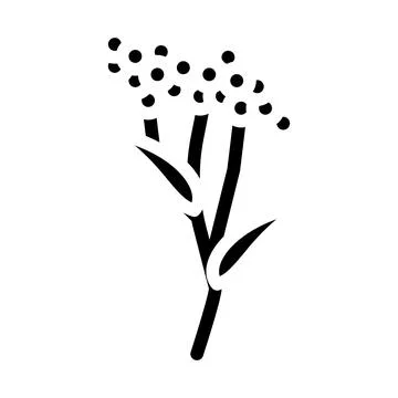 Elder plant glyph icon vector illustration Stock Illustration