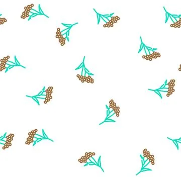 Elder plant vector seamless pattern 库存插图