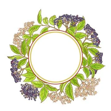 Elderberry branch vector pattern Stock-Illustration