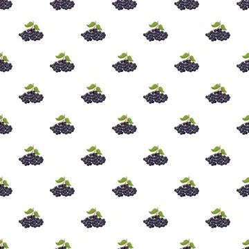 Elderberry seamless pattern with berries and leaves Illustrazione stock
