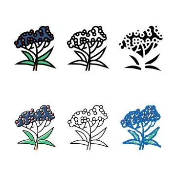 Elderberry tree branch color forms icon vector Stock Illustration