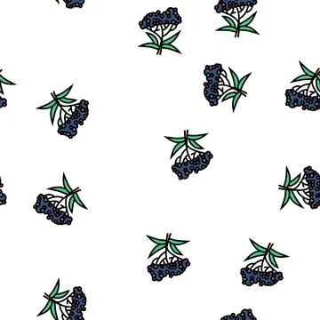 Elderberry tree branch vector seamless pattern Illustrazione stock