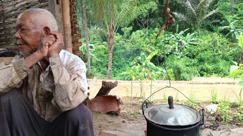 Elderly Asian farmer Stock Footage 335019461