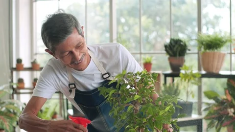 Elderly Asian man sprayed plants Bonsai tree in pots Video stock 150474639