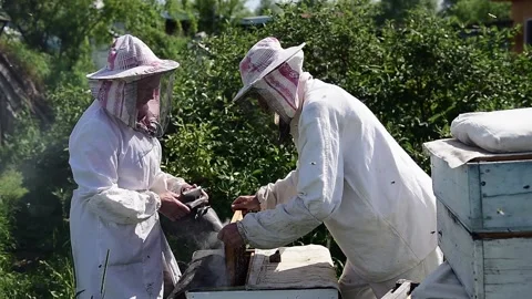 Elderly beekeepers working with bees. Video stock 167366536