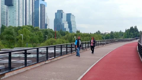 Elderly couple on elevated park track, woman photographs husband with city Vídeo Stock 343346050