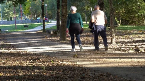 Elderly couple Stock Footage 117921561