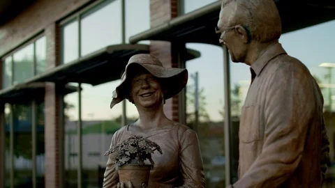 ELDERLY COUPLE MEMORIALIZED Stock Footage 105413704