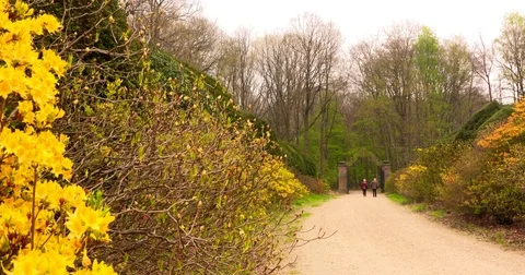 Elderly couple walking down an azalea lined avenue towards gateway Stock Footage 75357928