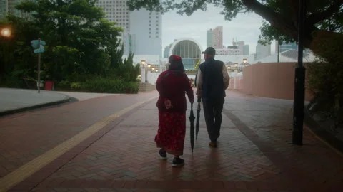 Elderly couple walks Stock Footage 289044479