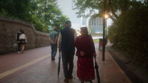 Elderly couple walks Stock Footage 289162744