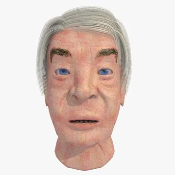 Elderly European Man Head With Hair 3D Model