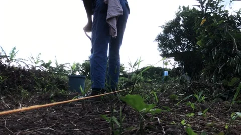 Elderly farm worker is using a shovel to till the soil in a garden plot. Stock Footage 329428441