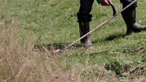 Elderly farmer cutting the grass Stock Footage 139056049