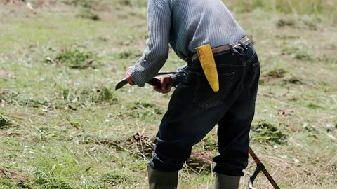 Elderly farmer cutting the grass Stock Footage 139056067