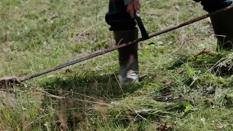 Elderly farmer cutting the grass Stock Footage 139056076