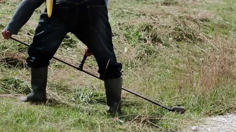 Elderly farmer cutting the grass Stock Footage 139056141