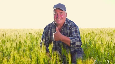 Elderly farmer gesturing thumb up Stock Footage 299910093