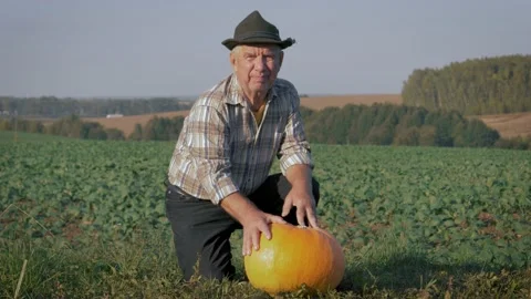 Elderly Farmer With Ripe Pumpkin On The Background Of Agricultural Fields Stock Footage 130793969
