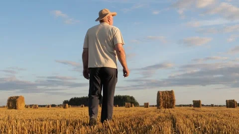 Elderly farmer walking through a harvested wheat field with haystacks Stock Footage 332704160