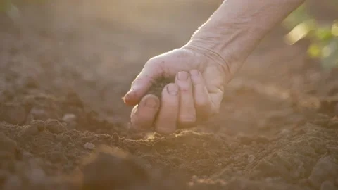 Elderly female hand checking soil quality Stock Footage 197718901