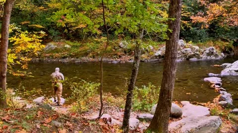 Elderly fly fisherman casting line autumn Stock Footage