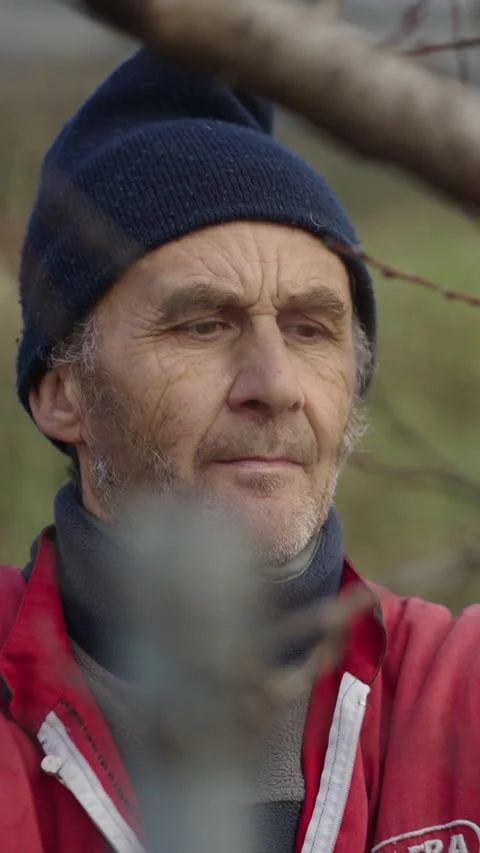 An elderly gardener cutting branches from a tree Stock Footage 273742852
