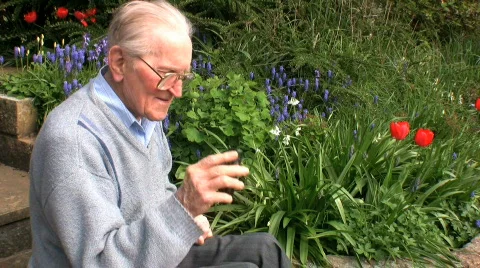 Elderly gentleman on a mobile Stock Footage 368604