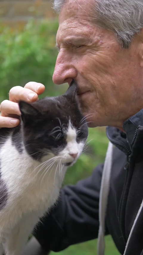 Elderly gray haired man exchanging affectionate kisses with beloved cat Stock Footage 334776321