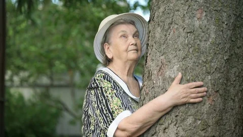 Elderly hugging tree trunk her hands in the forest Stock Footage 78138008