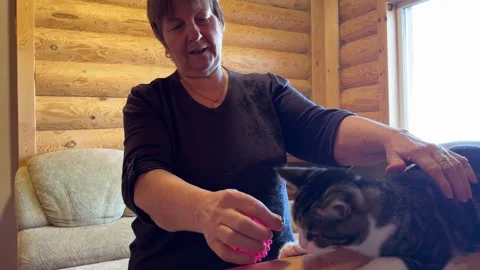 Elderly lady spending time with her grandson and cat Stock Footage 310868646