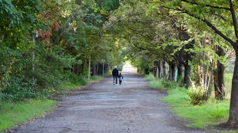 Elderly man and child strolling in park Stock Footage 257526814