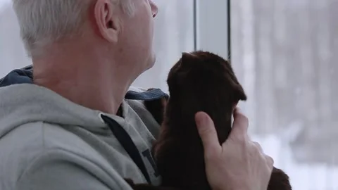 An elderly man and his cat look out the window Stock Footage 166877845