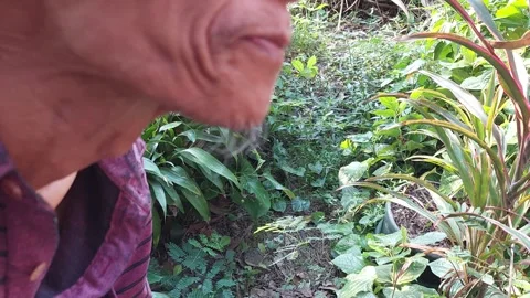 An elderly man with a beard eats an apple Stock Footage 260156390