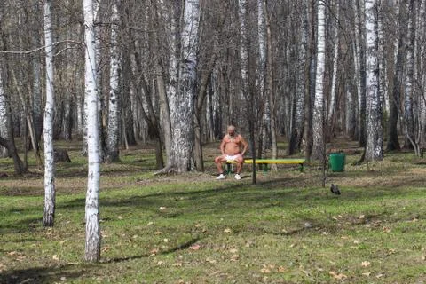 An Elderly man with a beard sunbathe in a birch forest in Novosibirsk Fotos de archivo