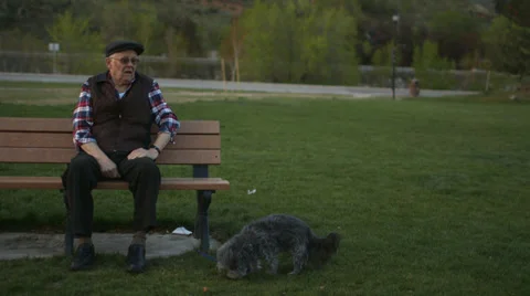 Elderly Man on Bench with Dog Stock Footage 37345364