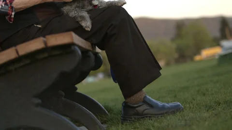Elderly Man on Bench Video stock 37345318