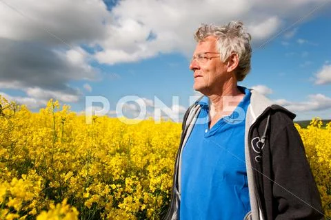 Elderly man in coleseed Stock Photos