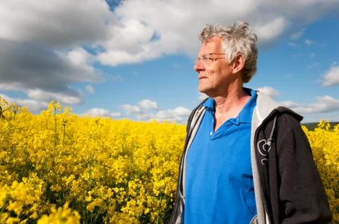 Elderly man in coleseed Stock Photos