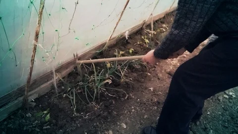An elderly man digs a land with a hoe Stock Footage 88324566