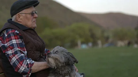 Elderly Man with Dog on Bench Stock Footage 37345328