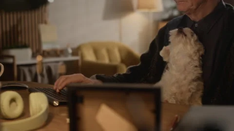 Elderly Man with Dog Working on Desktop Computer at Home Stock Footage 335758464