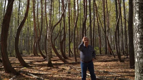 An elderly man gets lost in the woods and looks around for mobile networks. Stock Footage 140616773
