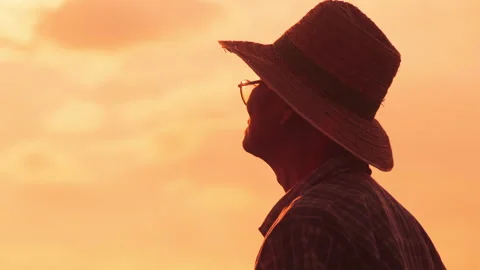 An elderly man in a hat looking into the distance on a golden sky background. Stock Footage 165482882