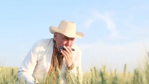 An elderly man in a hat plays the harmonica in the middle of a wheat field. Age Stock Footage 234392796