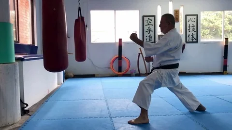 Elderly man kicking bag while practicing Karate Stock Footage 83183166