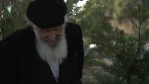 Elderly man with a long white beard walking thoughtfully in a park Stock Footage 331800611